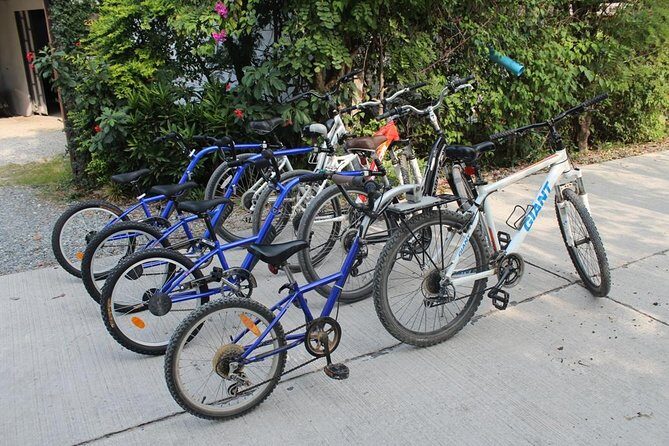 Half-Day Lanna Countryside Cycling Tour in Chiang Mai - FAQs