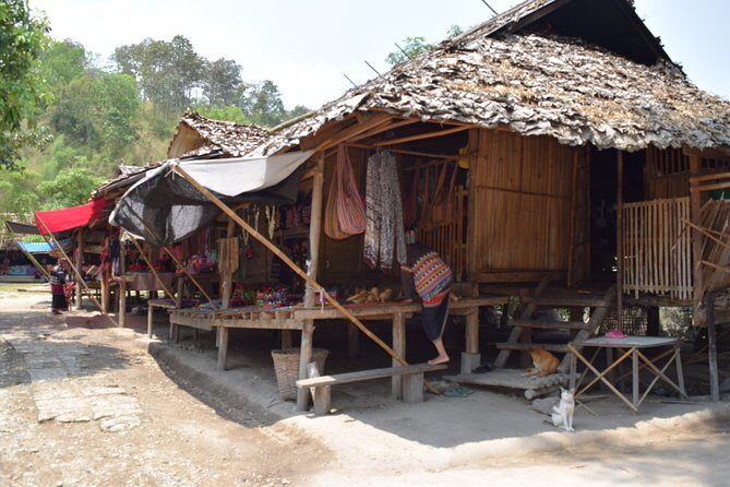 Half Day Long Neck hill tribe and Elephant POOPOOPAPER Park (Private Tour) - Final Thoughts: Is This the Right Tour for You?