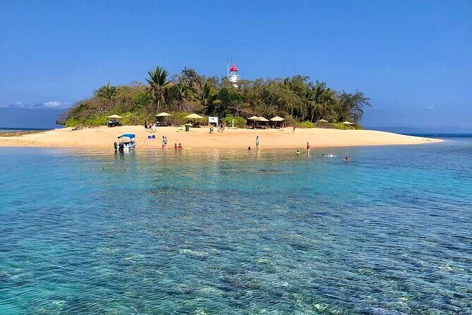 Half Day Low Island and Lagoon Snorkeling from Port Douglas - The Sum Up: Who Should Book This Tour?