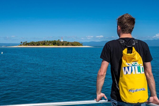 Half Day Low Isles Snorkelling Tour from Port Douglas - In-Depth Look at the Half-Day Low Isles Snorkelling Experience