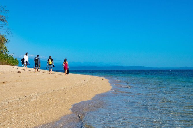 Half Day Low Isles Snorkelling Tour from Port Douglas - The Sum Up