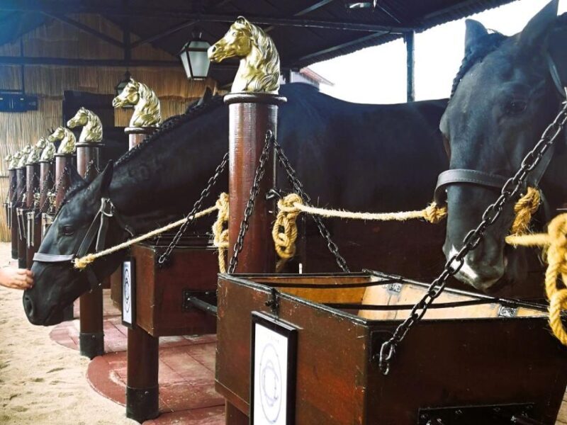 Half-day Lusitanian Horses & Photography Museum private tour - Exploring Portugal’s Equestrian Heart with a Private Half-Day Tour