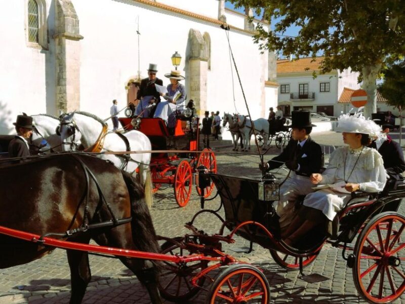 Half-day Lusitanian Horses & Photography Museum private tour - Who Should Consider This Tour?