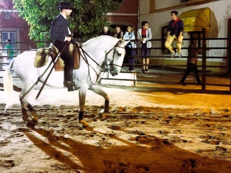 Half-day Lusitanian Horses & Photography Museum private tour - Final Thoughts
