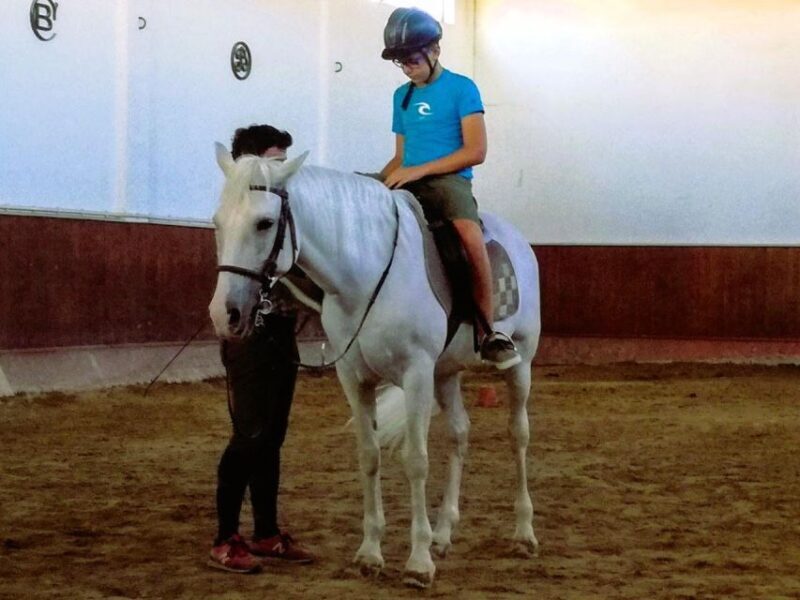Half-day Lusitanian Horses & Photography Museum private tour - FAQs