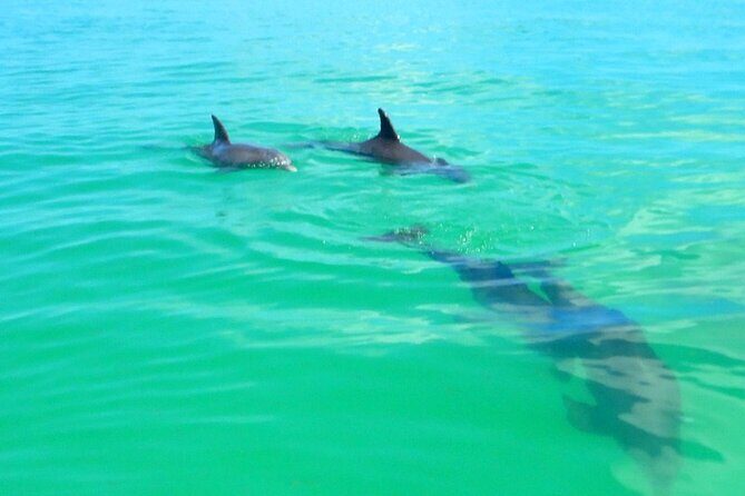 Half Day Luxury Boat Tour in Key West with Snorkeling - Final Thoughts