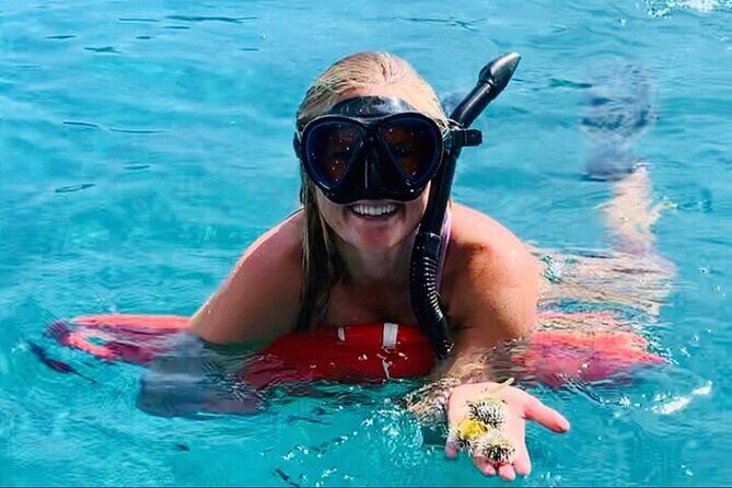 Half Day Luxury Catamaran Turtle Snorkel And Beach - Why This Tour Works for You