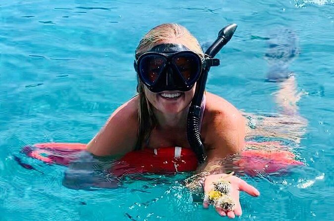 Half Day Luxury Catamaran Turtle Snorkel And Beach - Frequently Asked Questions