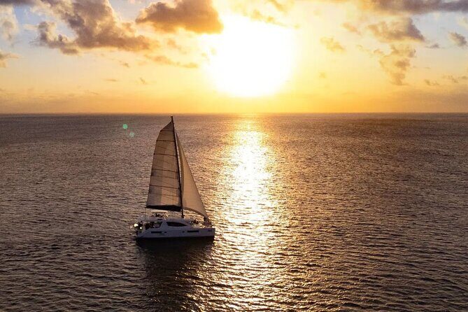 Half-Day Luxury Sailing in Puerto Morelos with Open Bar - Pricing and Value