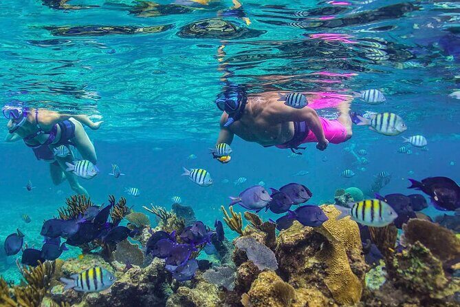 Half-Day Luxury Sailing in Puerto Morelos with Open Bar - The Sum Up