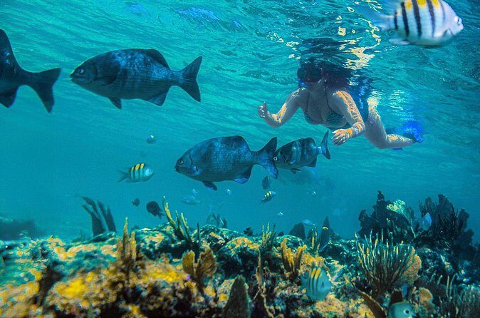 Half-Day Luxury Sailing in Puerto Morelos with Open Bar - Frequently Asked Questions