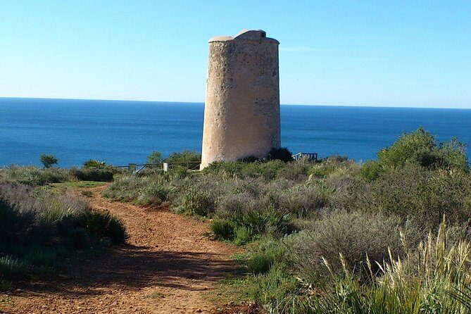 Half-Day Malaga Small-Group Hiking and Snorkeling Tour - The Sum Up