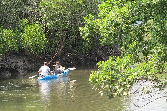 Half day Mangrove by Kayaking or Longtail boat from Koh Lanta - Who Will Love This Tour?