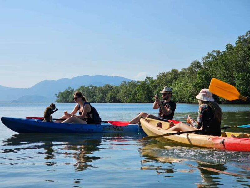 Half Day Mangrove Forest (Morning or Afternoon) - The Itinerary: What to Expect from Start to Finish