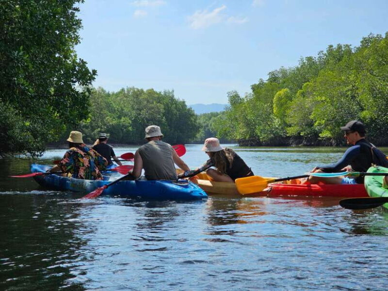 Half Day Mangrove Forest (Morning or Afternoon) - FAQs