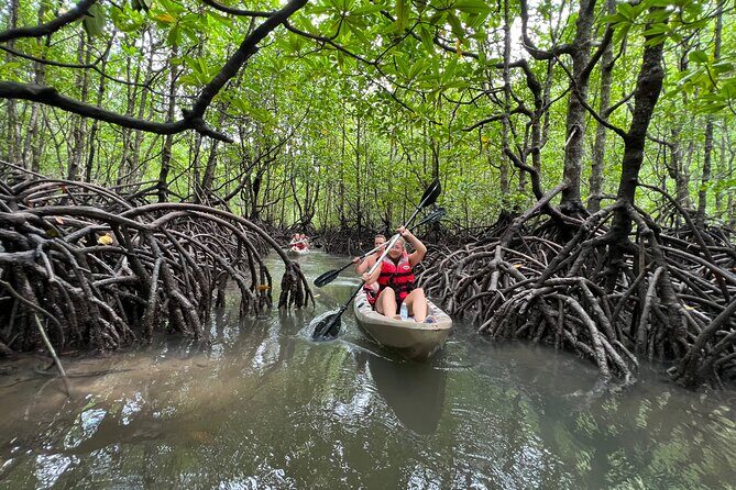 Half-Day Mangrove Kayaking in Langkawi - The Bat Cave and Nature Walk