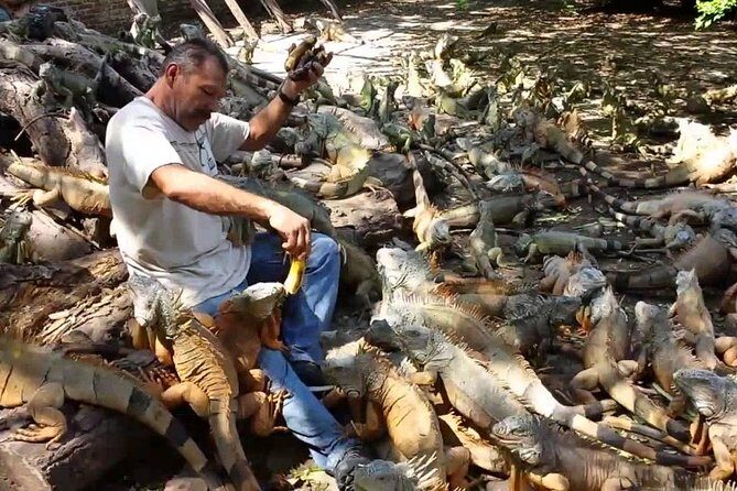 Half-day Manzanillo City Tours - A Practical Look at the Half-day Manzanillo City Tours