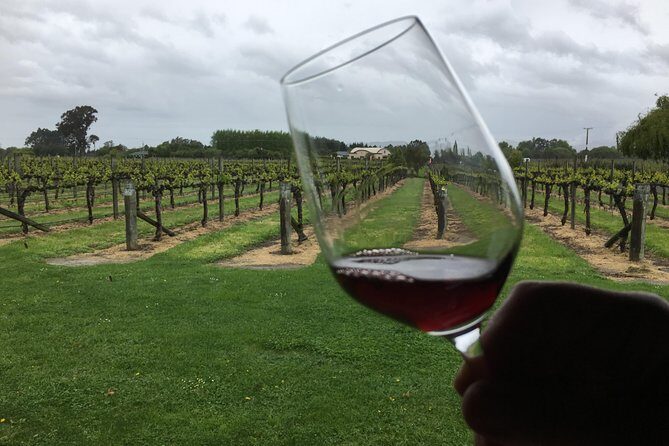Half-Day Marlborough Wine Tour & Beer Tour - Exploring the Marlborough Wine & Beer Tour in Detail