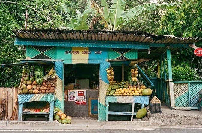 Half-Day Martha Brae Rafting Tour with Pickup Included - Final Thoughts