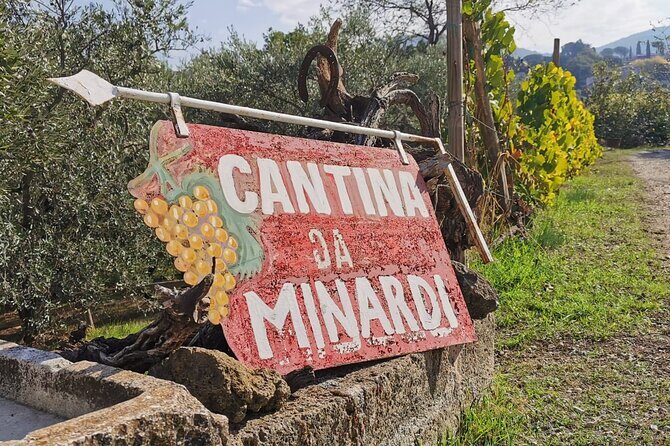 Half-Day Minardi Wine and Food Tour in Frascati - Who Should Book This Tour?