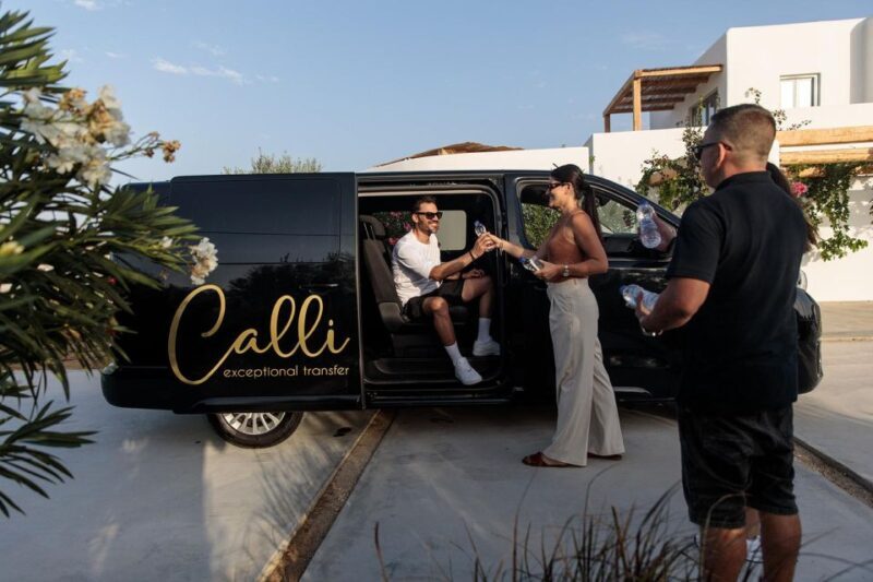 Half-Day Minivan Rental with Driver - What Travelers Are Saying