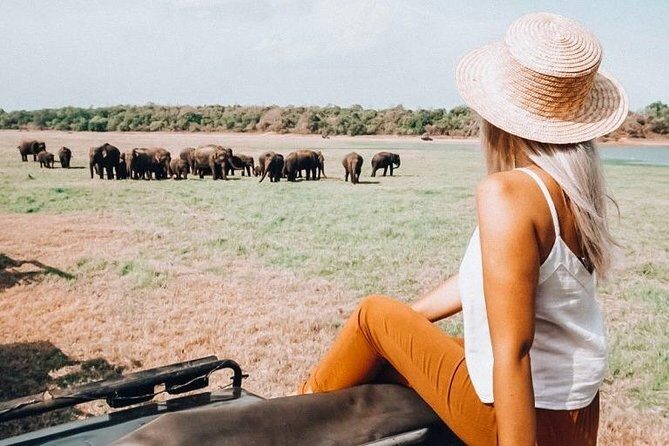 Half Day Minneriya National Park Safari from Sigiriya - Discovering Minneriya National Park: A Half-Day Safari from Sigiriya