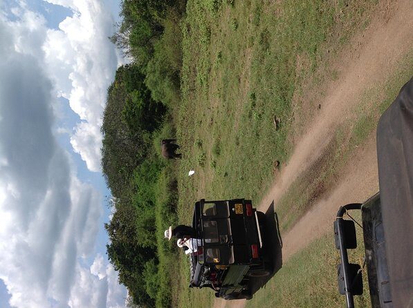 Half Day - Minneriya National Park Safari Tour From Habarana/Sigiriya - Key Points