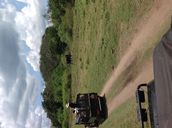 Half Day - Minneriya National Park Safari Tour From Habarana/Sigiriya - Exploring Minneriya National Park: What to Expect