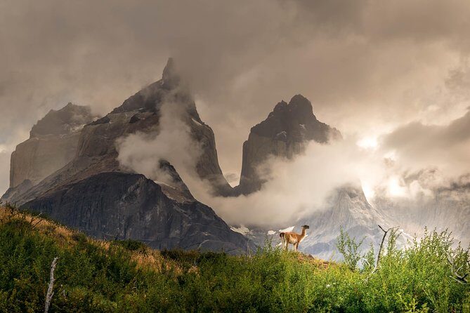 Half Day Mirador Cuernos del Paine (Minimum 2 pax) - FAQ