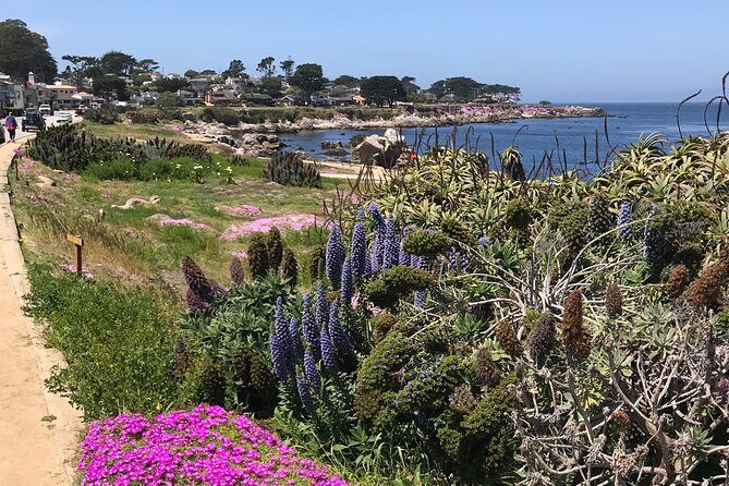 Half Day Monterey Peninsula Sightseeing Tour - A Closer Look at the Monterey Peninsula Experience