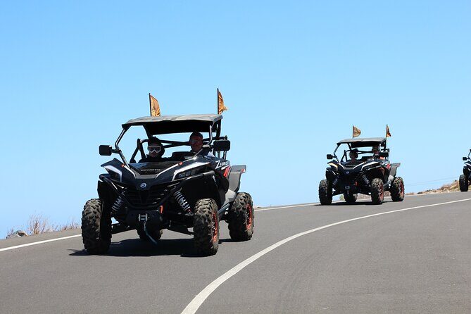 Half Day Morning Buggy Tour in Teide National Park - Key Points
