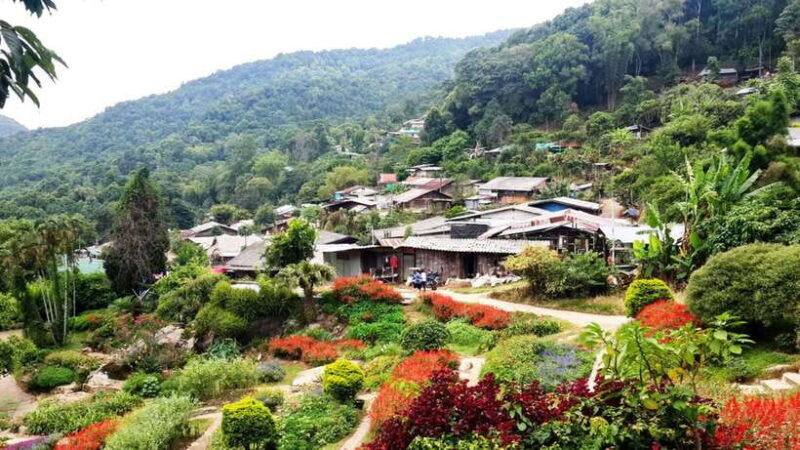 Half Day Morning Doi Suthep & Doi PUI MEO Village with Guide - A Close Look at the Tour Experience