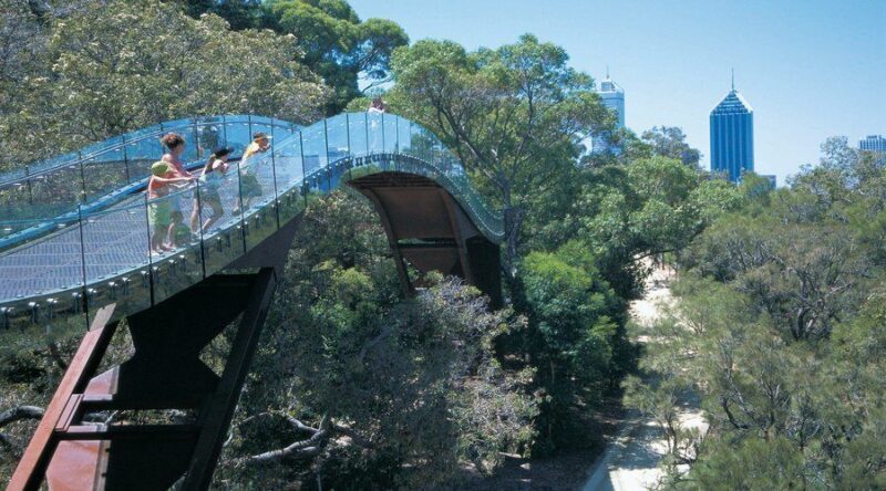 Half-Day Morning Perth & Fremantle City Explorer - Key Points