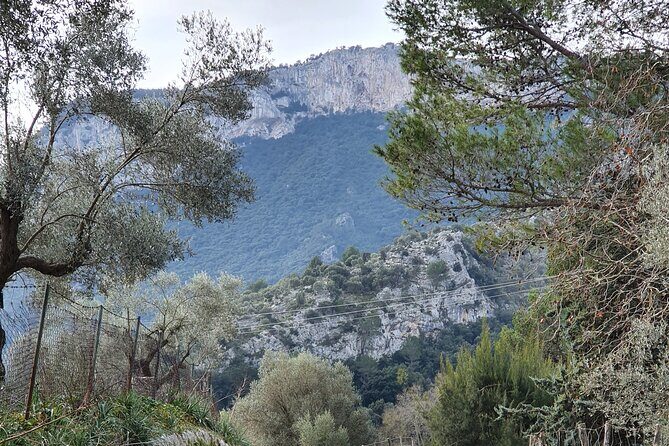 Half-Day Mountain Bike Experience to Serra de Tramuntana, - A Closer Look at the Half-Day Mountain Bike Tour in Mallorca