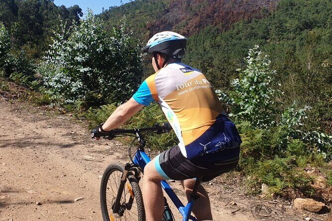 Half day Mountain Bike Tour in Porto - The Details of the Mountain Bike Tour Near Porto