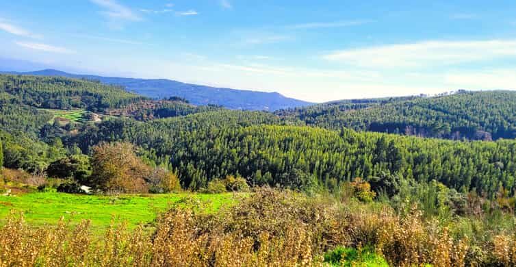 Half-Day Mountain Jeep Safari with firewater tasting - What Makes This Tour Special