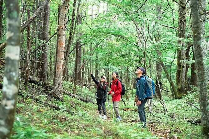 Half-Day Mt. Fuji Scenic Drive: 3-Hour Tour - Who Would Enjoy This Tour Most?