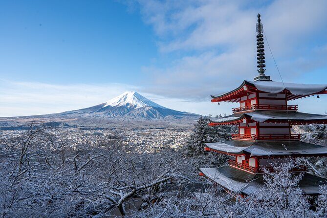 Half-Day Mt. Fuji Scenic Drive: 3-Hour Tour - Final Thoughts: Is It Worth It?