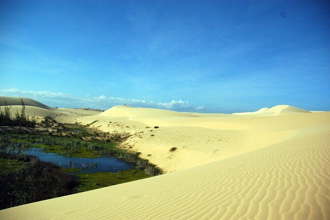 Half-Day Mui Ne Sand Dunes Jeep Tour with Hotel Pickup - Who Should Consider This Tour?