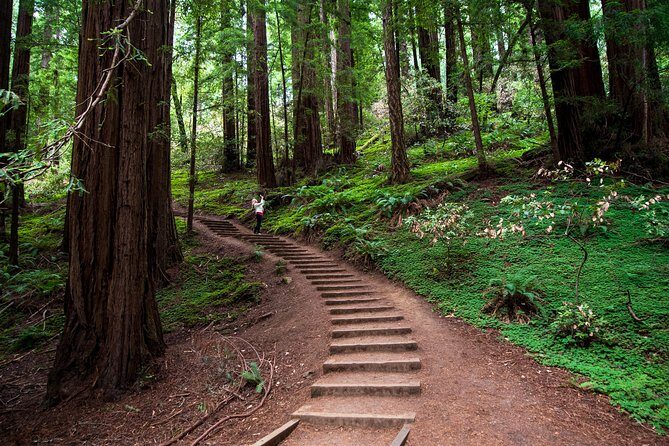 Half-Day Muir Woods & Sausalito Tour with Entry Ticket Included - Who Is This Tour Best For?