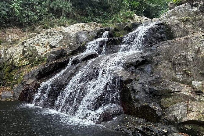 Half-Day Nadi Tour: Lookout, Temple & Village - The Practicalities