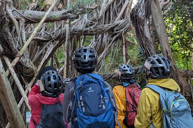 Half Day Naha City Historical Bike Tour - Who will love this tour?