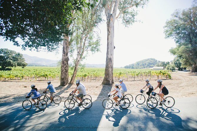 Half-Day Napa Valley E-Bike Tour - An In-Depth Look at the Napa Valley E-Bike Tour