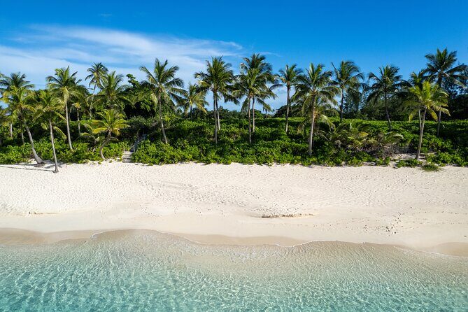 Half-Day Nassau Getaway: Rose Island Snorkeling & Turtle Visit - The Experience in Detail