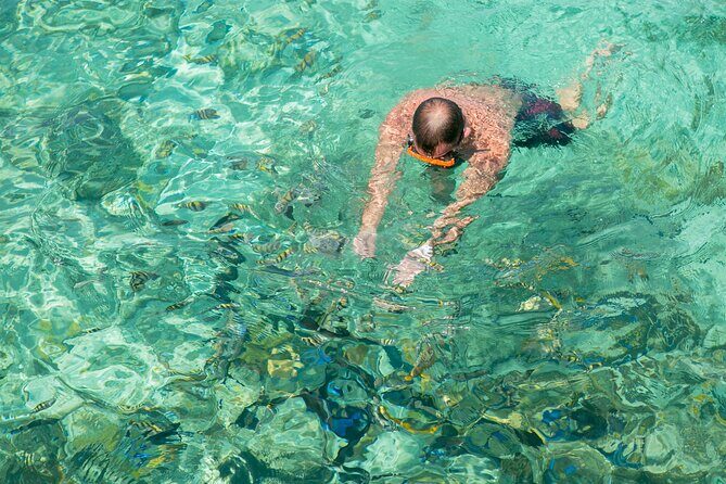 Half-Day Nassau Getaway: Rose Island Snorkeling & Turtle Visit - FAQ