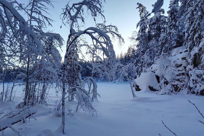 Half-Day Nature Adventure to Nuuksio National Park from Helsinki - Experience the Tranquility of Finland’s Nuuksio National Park in Just Half a Day