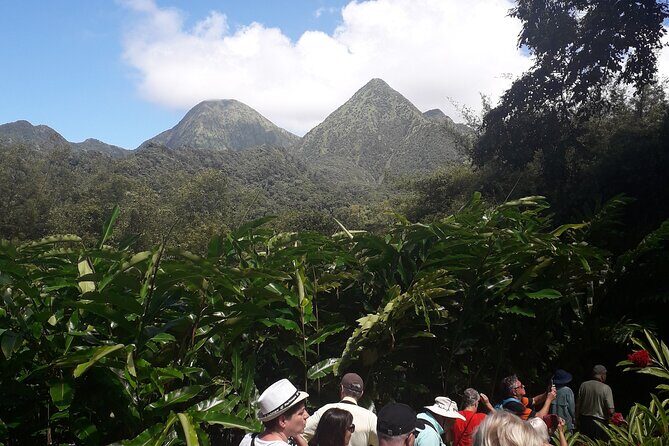 Half-Day Nature and Panorama Tour in Martinique - Who Should Consider This Tour?