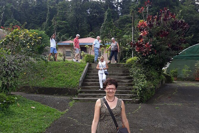 Half-Day Nature and Panorama Tour in Martinique - Final Thoughts