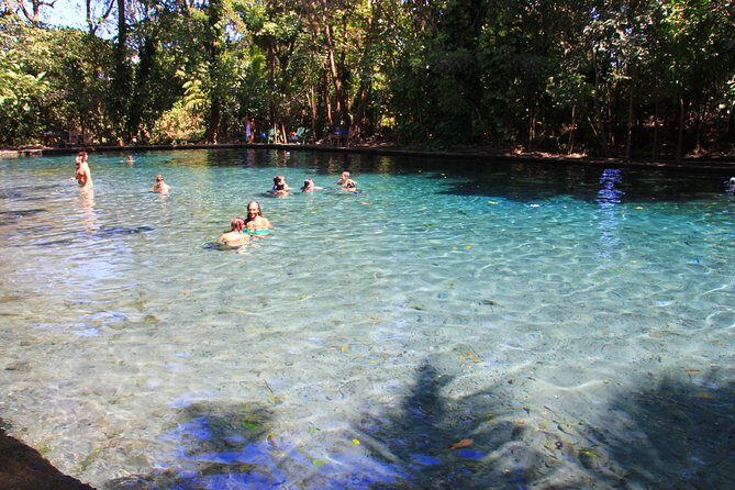 Half-Day Nature expedition at Ometepe Island - Key Points