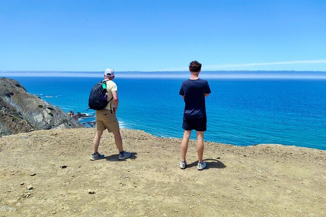 Half Day Nature Walk and Picnic at West Coast Algarve - Discovering the Algarve’s West Coast: A Detailed Review